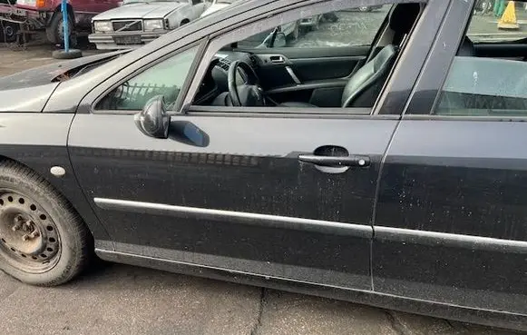 Peugeot 407 Front door