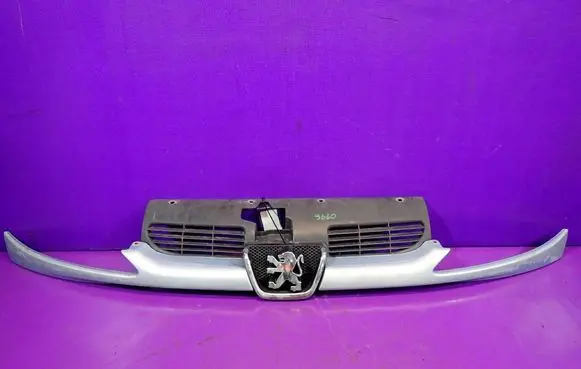 Peugeot 206 CC Front grill 9628934280