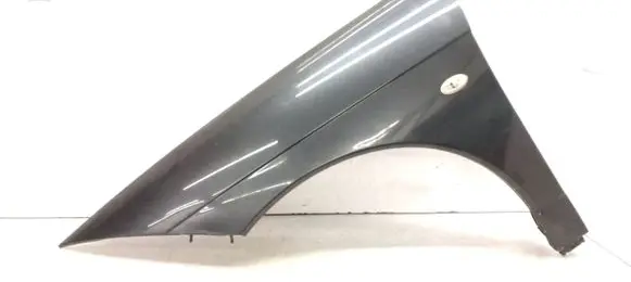 Citroen C6 Fender EYPC