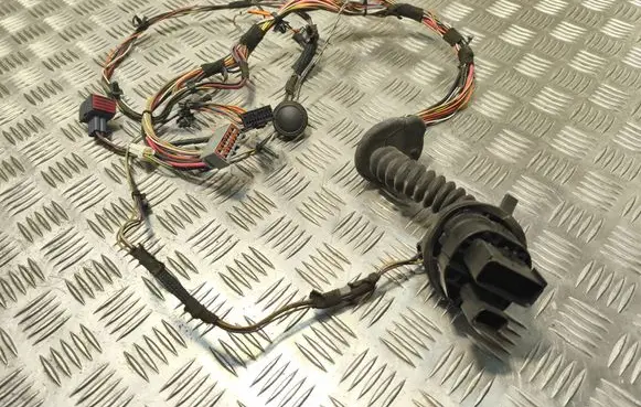 Chrysler Pacifica Front door wiring loom 