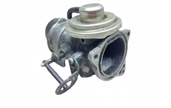 EGR valve