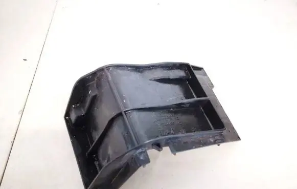 Renault Laguna III Other interior part 244310007r