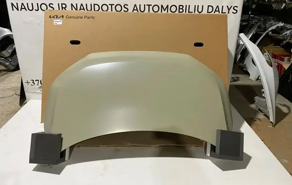 KIA EV3 Engine bonnet/hood 66400EV000