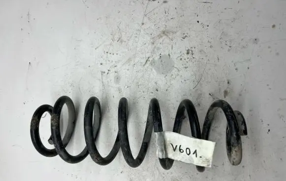Volkswagen PASSAT B6 Rear coil spring