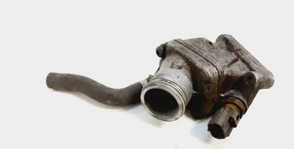 Thermostat/thermostat housing