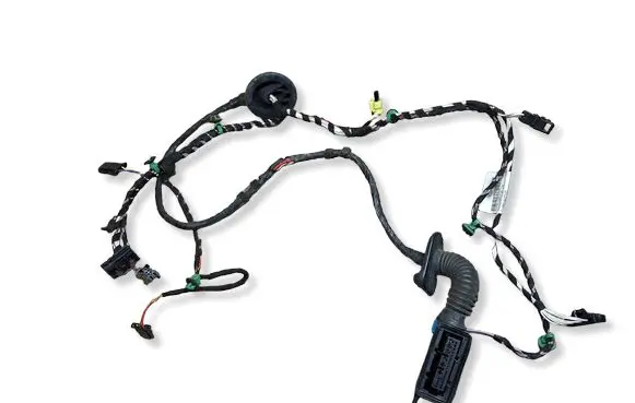 Volkswagen PASSAT B8 Front door wiring loom 3G1971121K