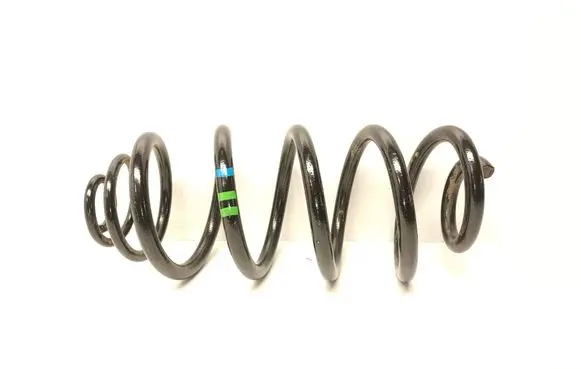 Rear coil spring