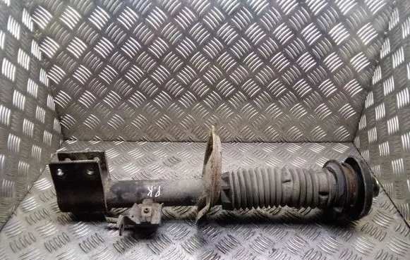 Peugeot 307 Front shock absorber/damper 