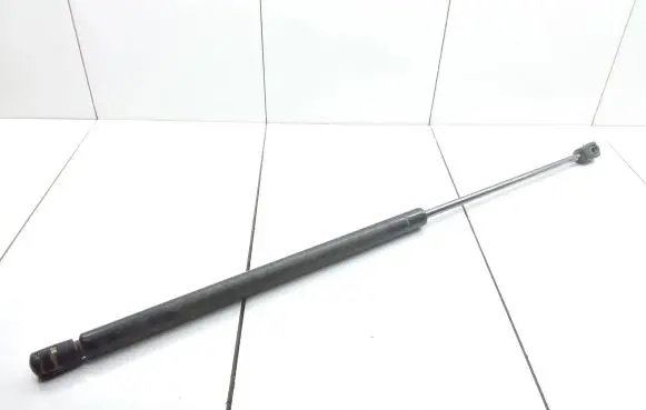 Tailgate/trunk strut/damper