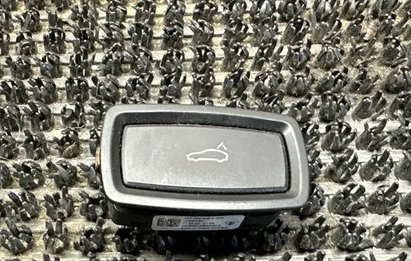 Porsche Panamera (970) Tailgate opening switch 7PP959832D