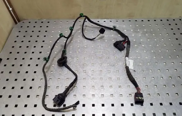 Rear door wiring loom