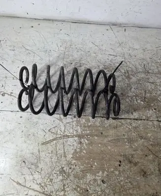 Volkswagen PASSAT B6 Rear coil spring