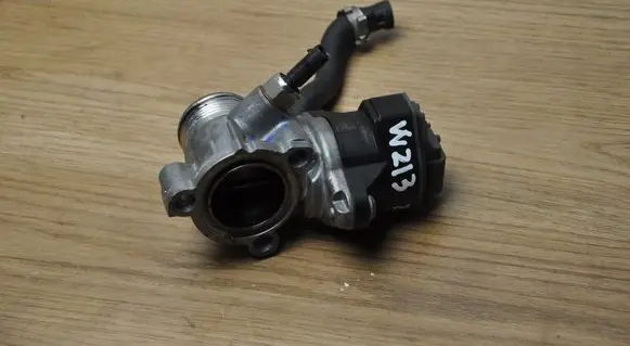 EGR valve
