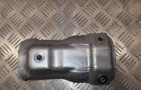 Exhaust heat shield