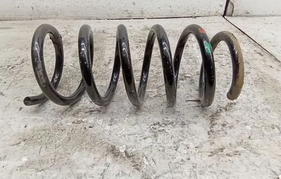 Renault Trafic II (X83) Front coil spring