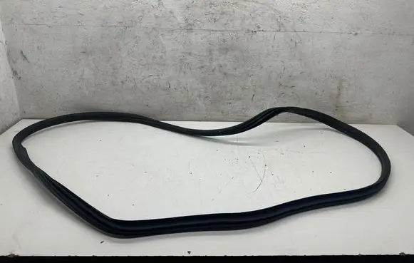 BMW X6 M Rear door rubber seal (on body)