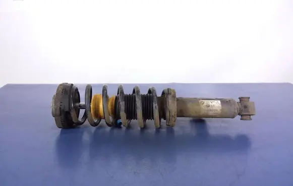 BMW X3 F25 Rear shock absorber/damper 6799911