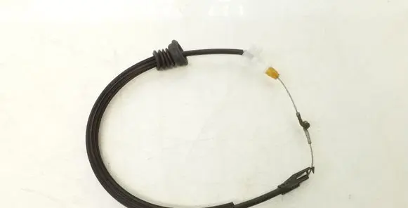 Volkswagen PASSAT B6 Rear door cable line 3C4839085C