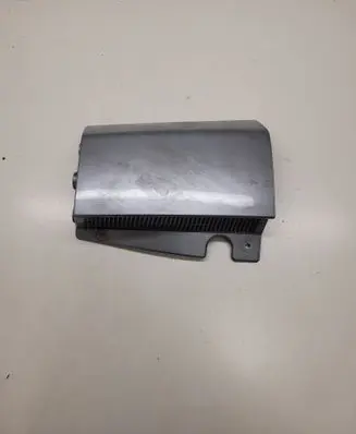 Rear/tail light trim molding