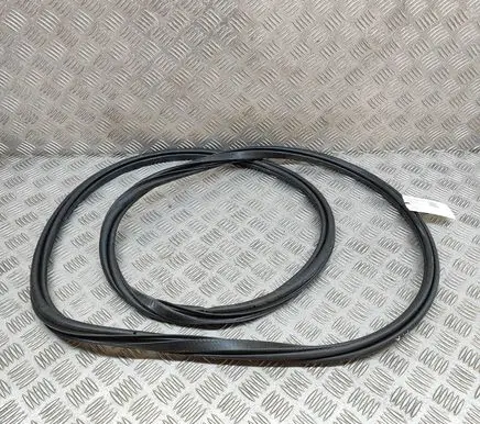 Polestar 2 Rubber seal front coupe door 31662569
