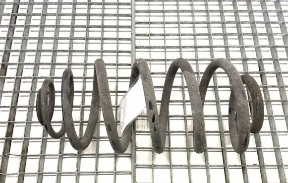 Rear coil spring