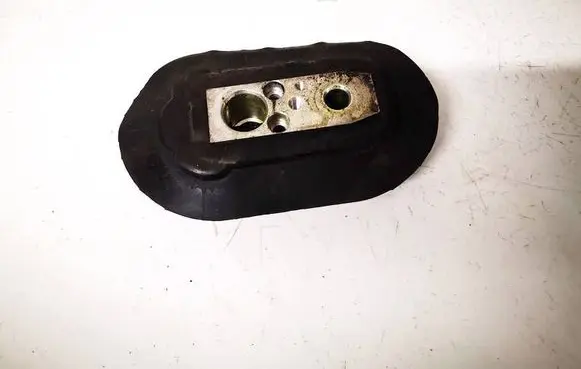 Nissan Qashqai Air conditioning (A/C) expansion valve 