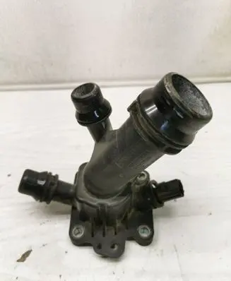 Thermostat/thermostat housing