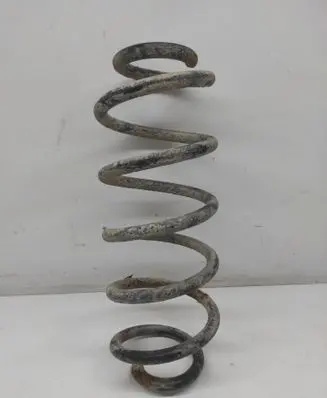 Volkswagen PASSAT B6 Rear coil spring