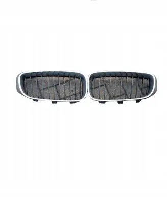 BMW 3 F30 F35 F31 Front bumper upper radiator grill 7294804