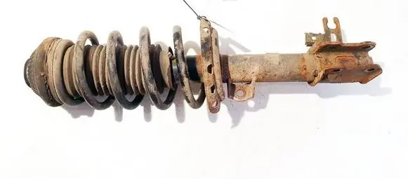 Opel Zafira B Front shock absorber/damper 22214013