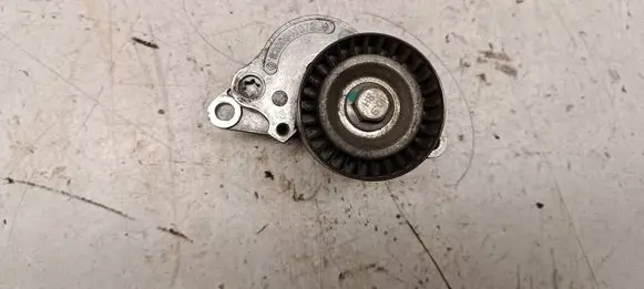Renault Latitude (L70) Generator/alternator belt tensioner 8200941079