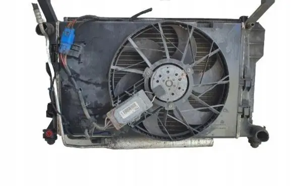 Mercedes-Benz A W169 Radiator set A1695003304