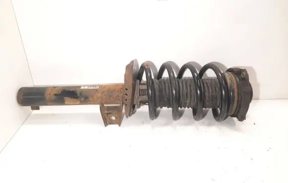 Volkswagen Caddy Front shock absorber/damper 1K0413031BL