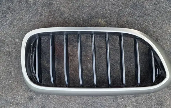 BMW 5 G30 G31 G38 Front grill 7381902