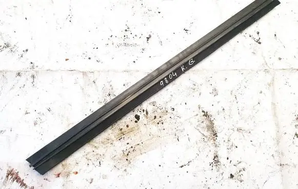 Rear door glass trim molding