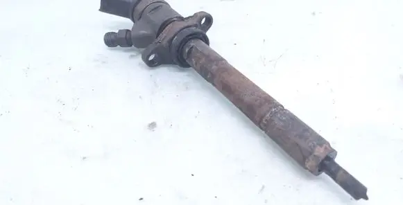 Ford Focus Fuel injector 0445110259 328480