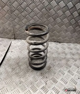 Rear coil spring