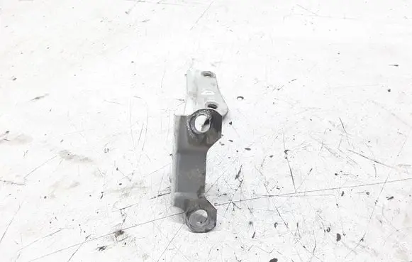 Mitsubishi Pajero Sport I Engine bonnet/hood hinges