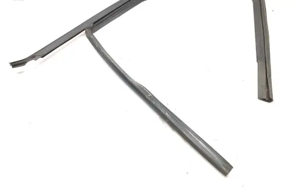 Renault Scenic IV - Grand scenic IV Front door glass trim molding 803313551R M4CG