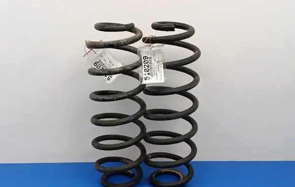 Volkswagen PASSAT B6 Rear coil spring 