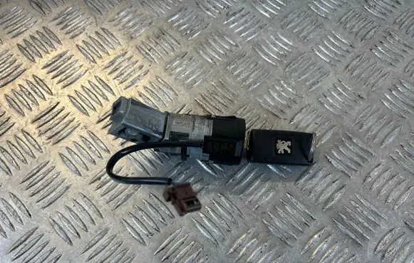 Peugeot 5008 Ignition lock 9663123380
