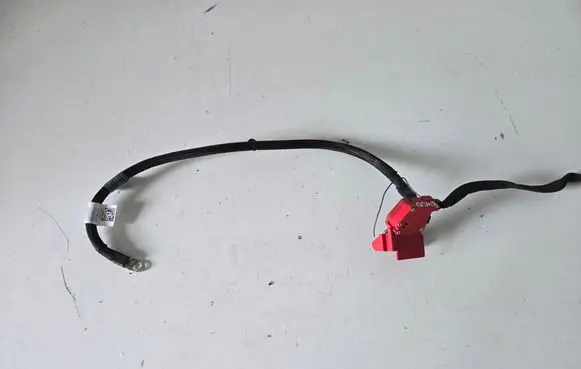 BMW X5 G05 Positive cable (battery) 8795483 8795482