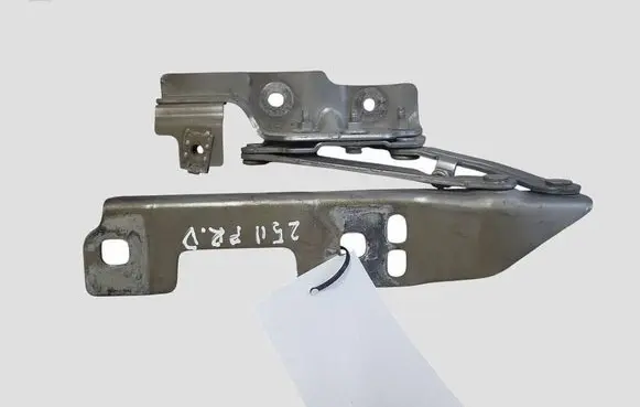 Opel Astra J Engine bonnet/hood hinges 20879203