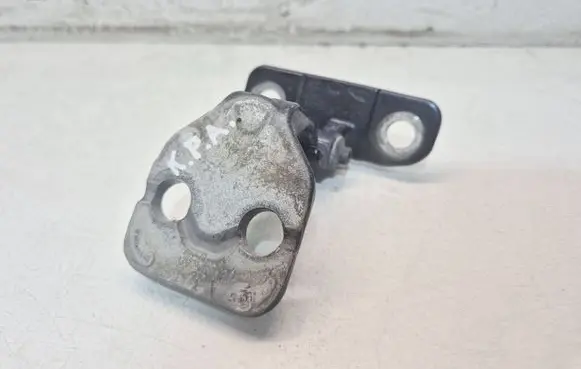 Land Rover Discovery Sport Front door lower hinge 