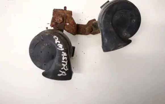 Volkswagen PASSAT B6 Horn signal e1000209