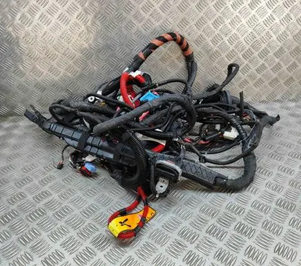 Tesla Model Y Other wiring loom 248905808B