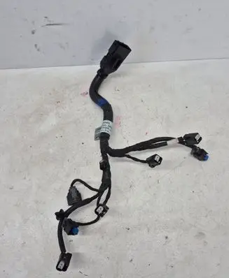 Hyundai Santa Fe Fuel injector wires 353022M400