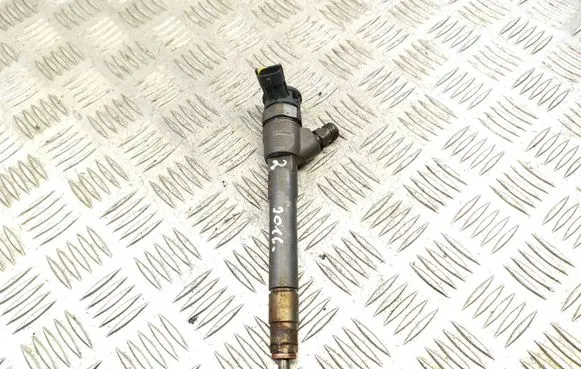 Nissan Qashqai Fuel injector 0445110546
