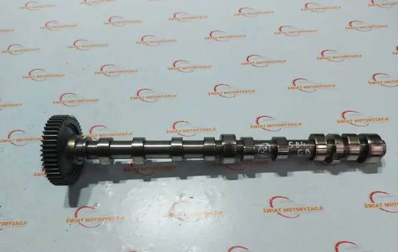 Opel Insignia A Camshaft 55573054