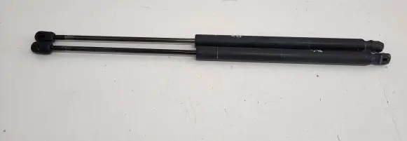 Renault Megane II Tailgate/trunk strut/damper 8200119498 1W0J311